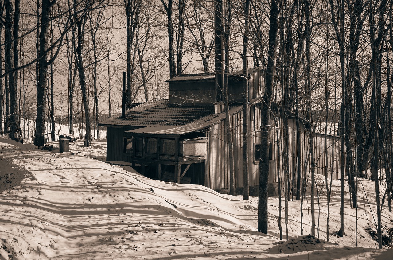 Cabane sucre